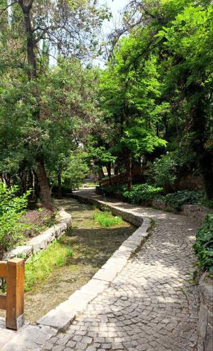 عکس پارک جنگلی وکیل آباد