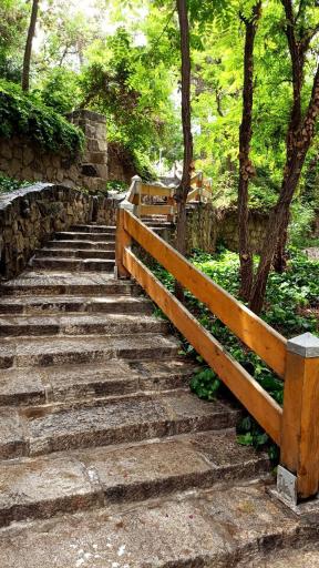 عکس پارک جنگلی وکیل آباد