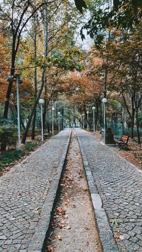 عکس پارک جنگلی وکیل آباد