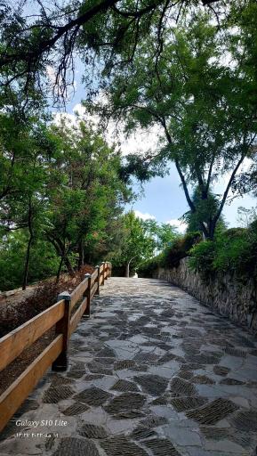 عکس پارک جنگلی وکیل آباد