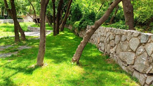 عکس پارک جنگلی وکیل آباد