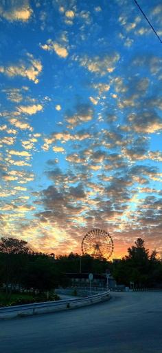 عکس پارک جنگلی وکیل آباد