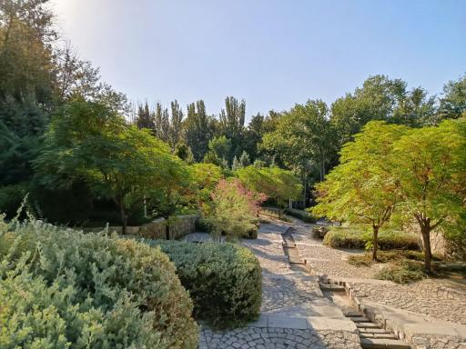 عکس پارک جنگلی وکیل آباد