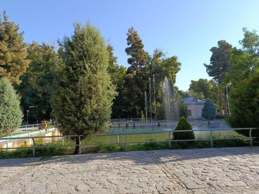 عکس پارک جنگلی وکیل آباد