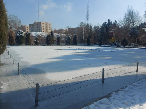 عکس پارک جنگلی وکیل آباد