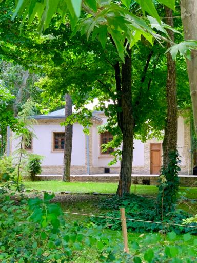 عکس پارک جنگلی وکیل آباد