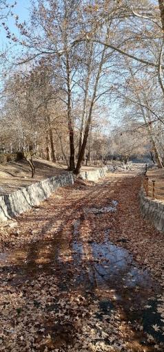 عکس پارک جنگلی وکیل آباد