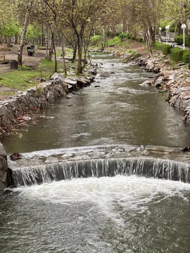 عکس پارک جنگلی وکیل آباد