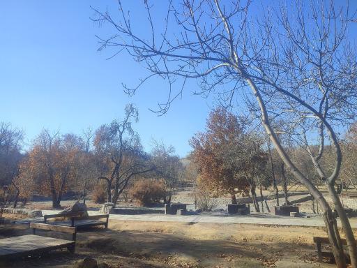 عکس پارک جنگلی وکیل آباد