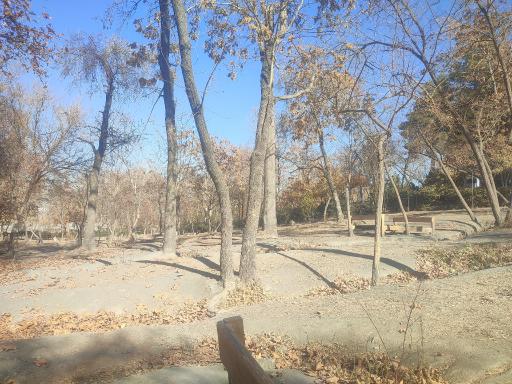 عکس پارک جنگلی وکیل آباد