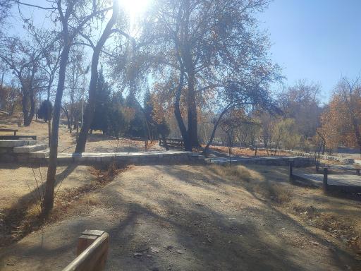 عکس پارک جنگلی وکیل آباد