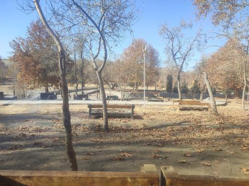 عکس پارک جنگلی وکیل آباد