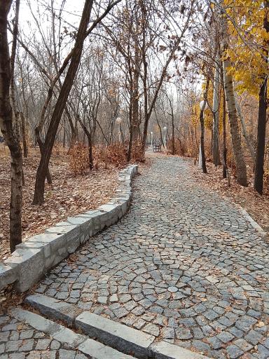 عکس پارک جنگلی وکیل آباد