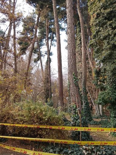 عکس پارک جنگلی وکیل آباد