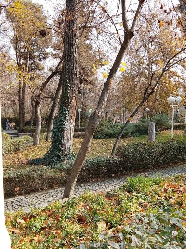 عکس پارک جنگلی وکیل آباد