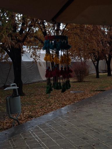 عکس باغ موزه چهلستون 