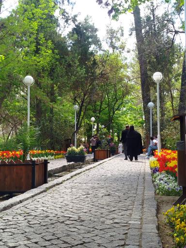 عکس پارک جنگلی وکیل آباد