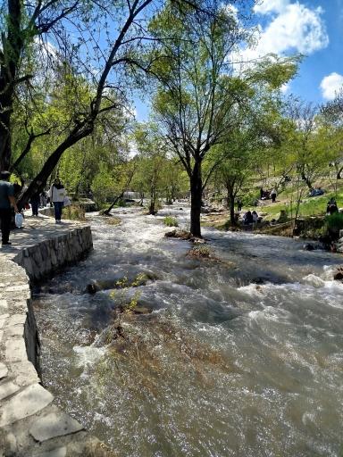 عکس پارک جنگلی وکیل آباد