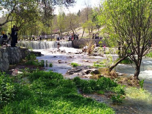 عکس پارک جنگلی وکیل آباد