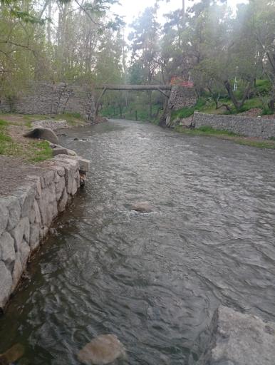 عکس پارک جنگلی وکیل آباد