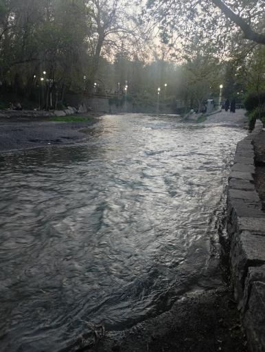 عکس پارک جنگلی وکیل آباد