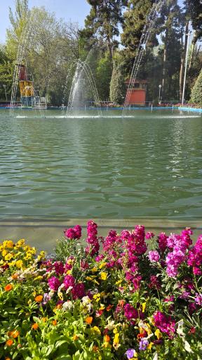 عکس پارک جنگلی وکیل آباد