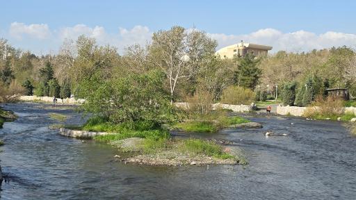 عکس پارک جنگلی وکیل آباد