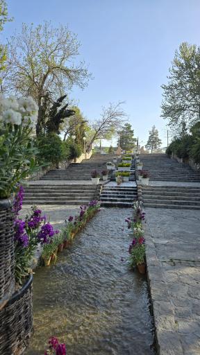 عکس پارک جنگلی وکیل آباد