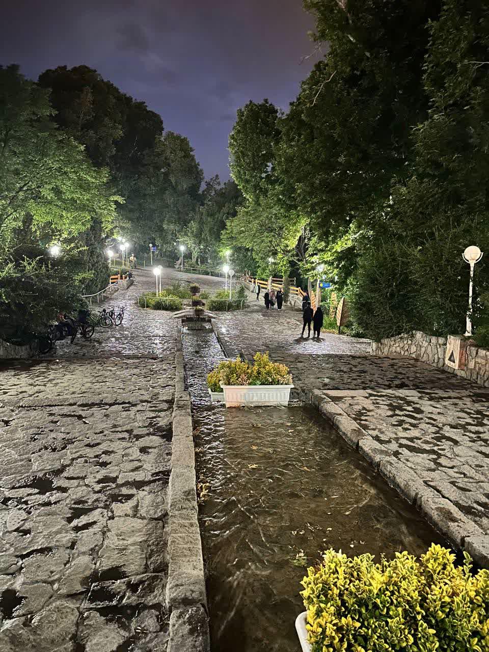 عکس پارک جنگلی وکیل آباد