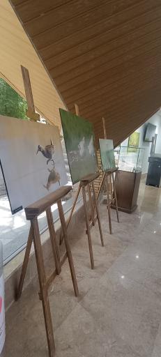 عکس پارک جنگلی وکیل آباد