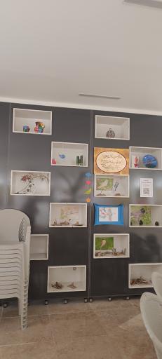 عکس پارک جنگلی وکیل آباد