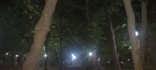 عکس پارک جنگلی وکیل آباد