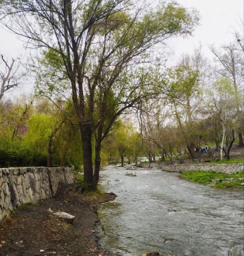 عکس پارک جنگلی وکیل آباد