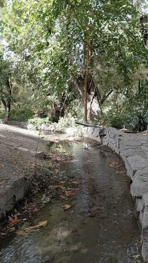 عکس پارک جنگلی وکیل آباد