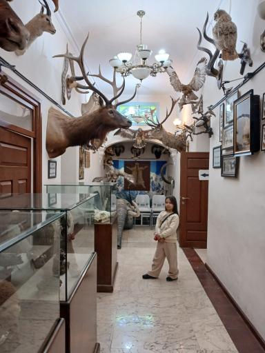 عکس پارک جنگلی وکیل آباد