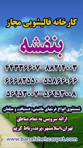 عکس قالیشویی بنفشه