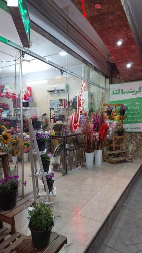 عکس گل گریتسا