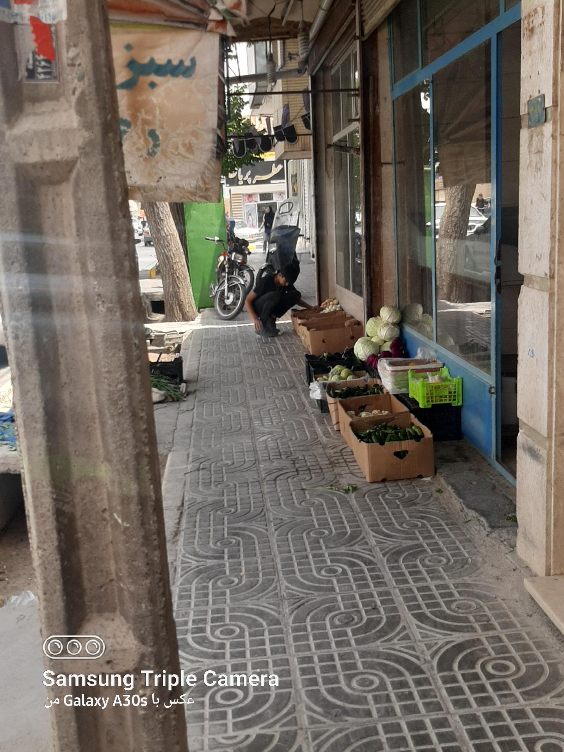 عکس سبزی فروشی پناهی