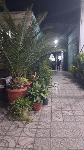 عکس مسجد علی بن موسی الرضا (ع)