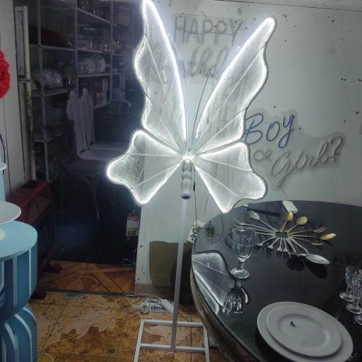 ظروف کرایه و خدمات مجالس علایی