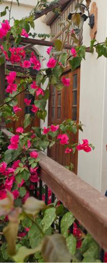 عکس مجموعه عمارت تاریخی مهربان
