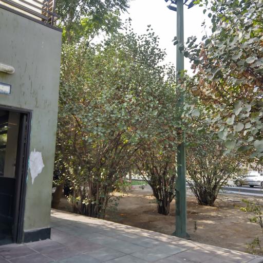 عکس پارک رامین