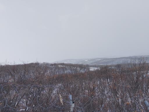 عکس میرآباد