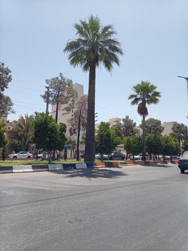 کناره