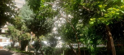 عکس بلوک ۱۴