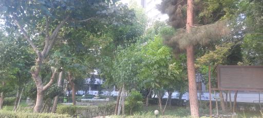 عکس بلوک ۱۴