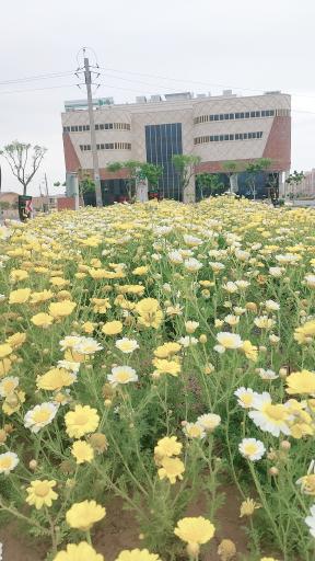 عکس مجتمع تجاری تندیس پردیسان