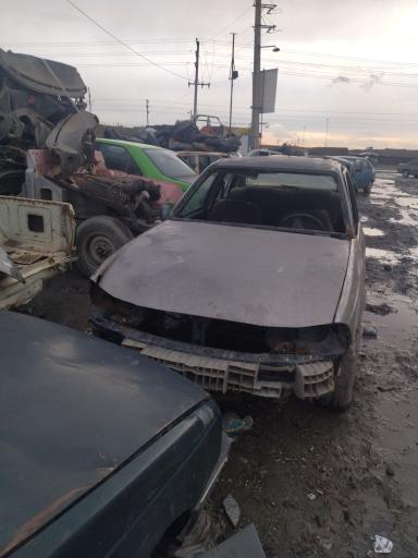 عکس استوک یدک احمدی