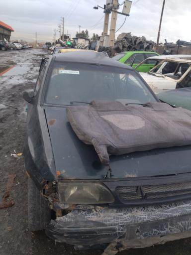 عکس استوک یدک احمدی