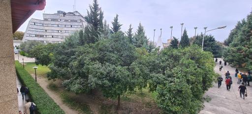 عکس دانشگاه صنعتی نوشیروانی بابل